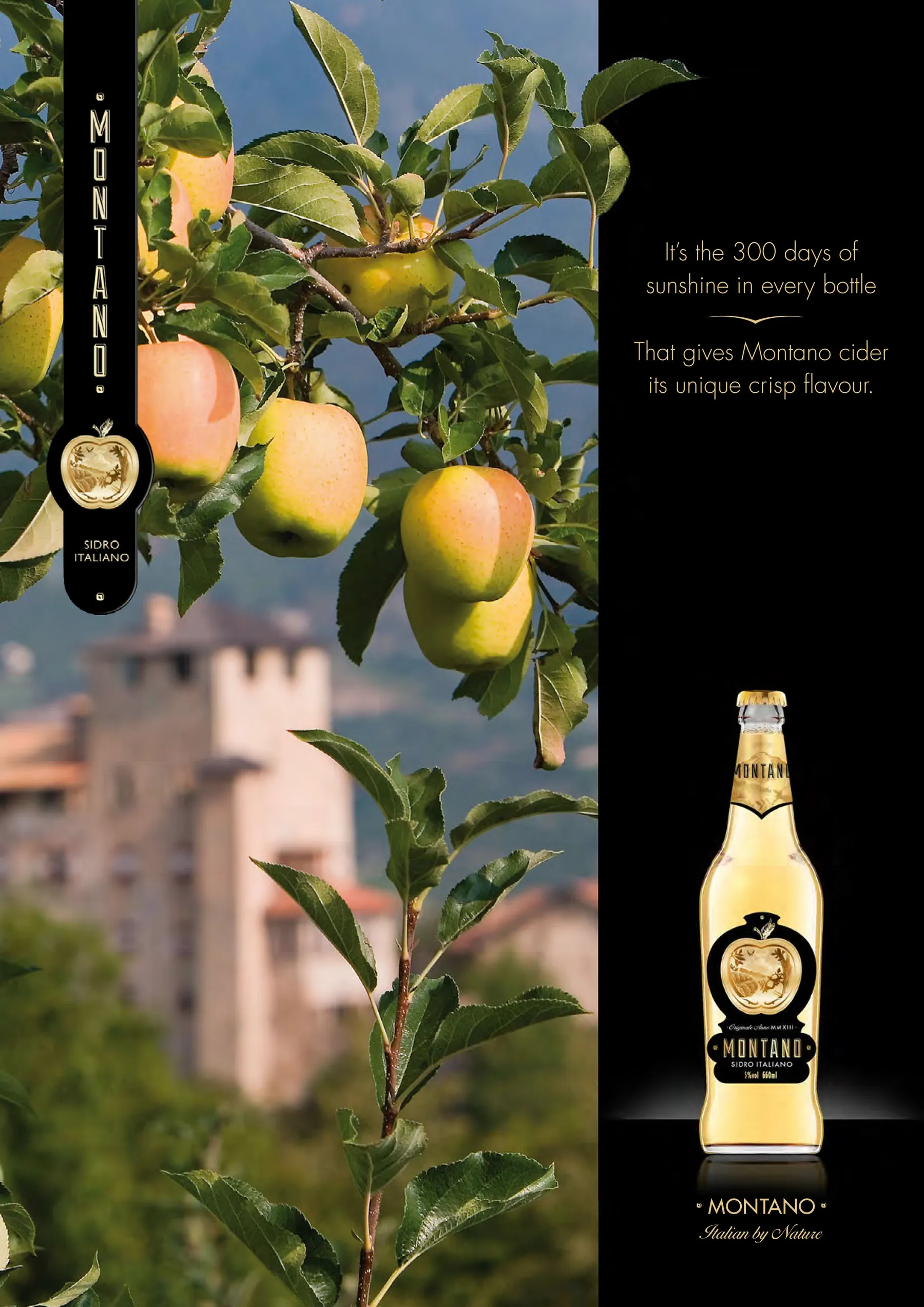Montano Italian cider — ATL + 360
